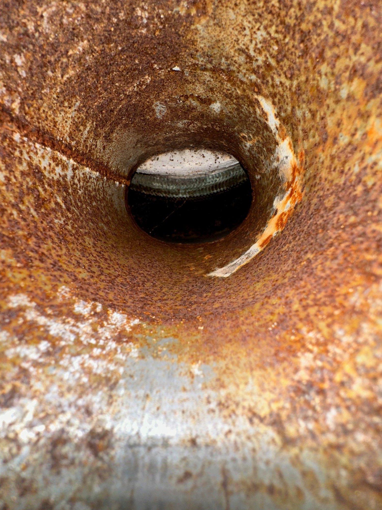 pic4.jpg