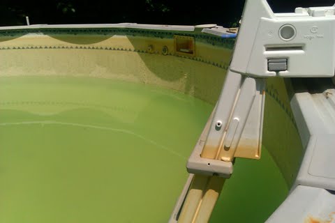 pool-1-June.jpeg