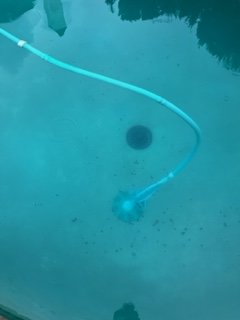 pool 2 .jpeg