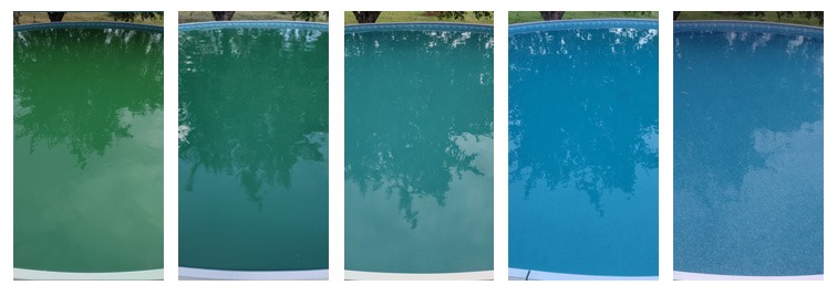 Pool 2024 TFP copy.jpg