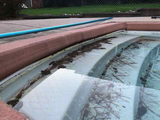 Pool Deck - 7.jpeg