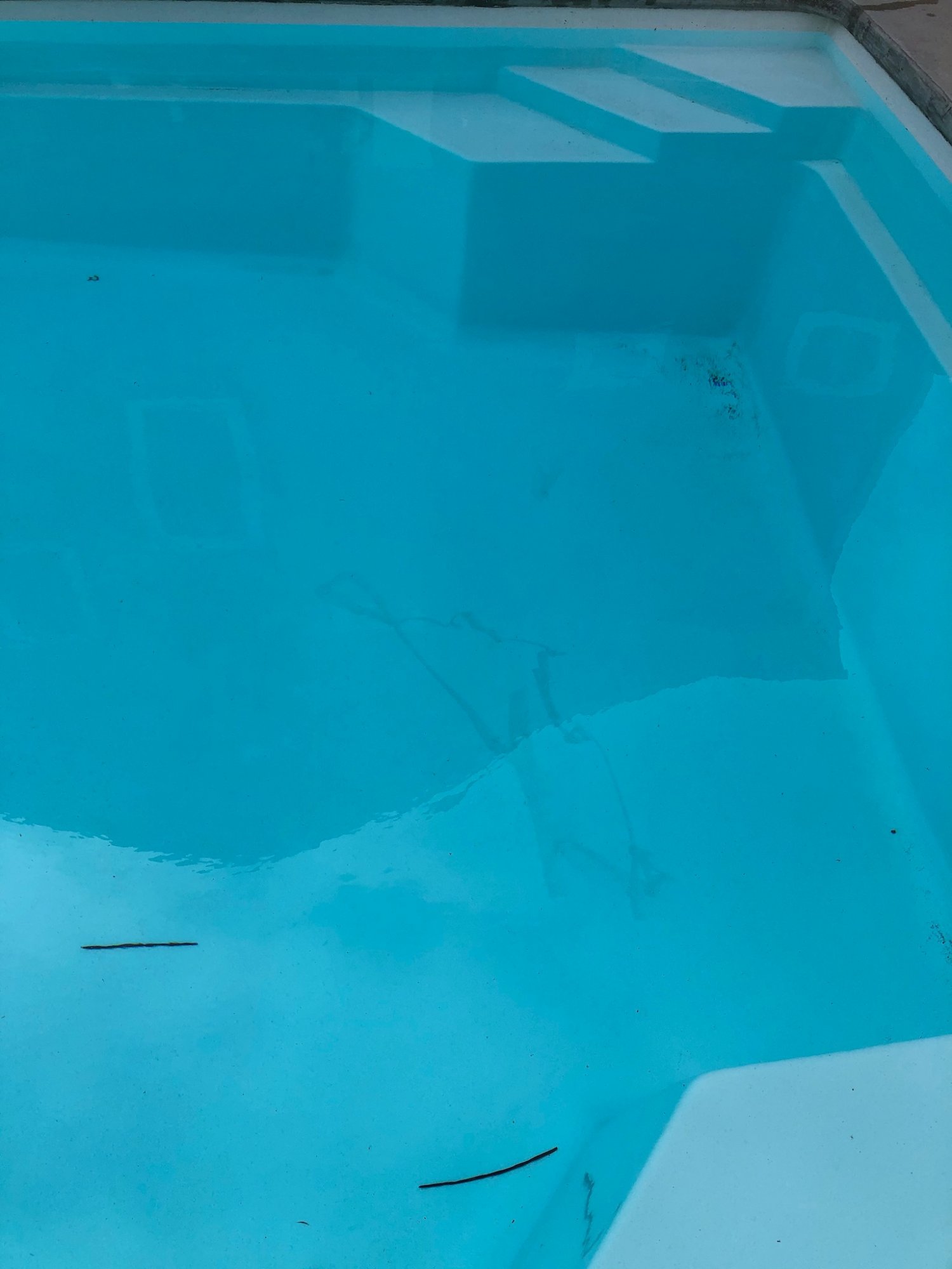 pool finish flaw 1.jpeg