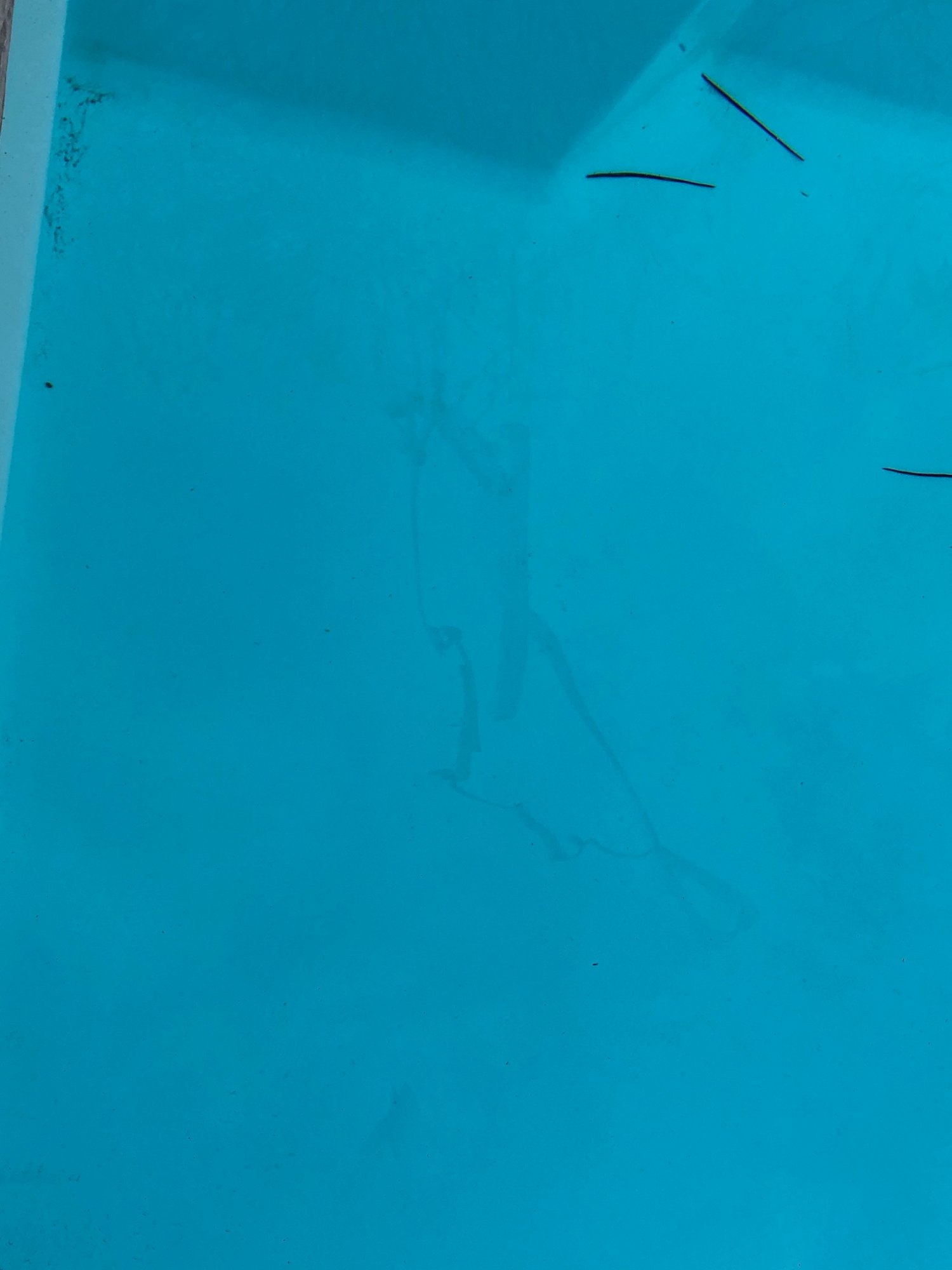 pool finish flaw 3.jpeg