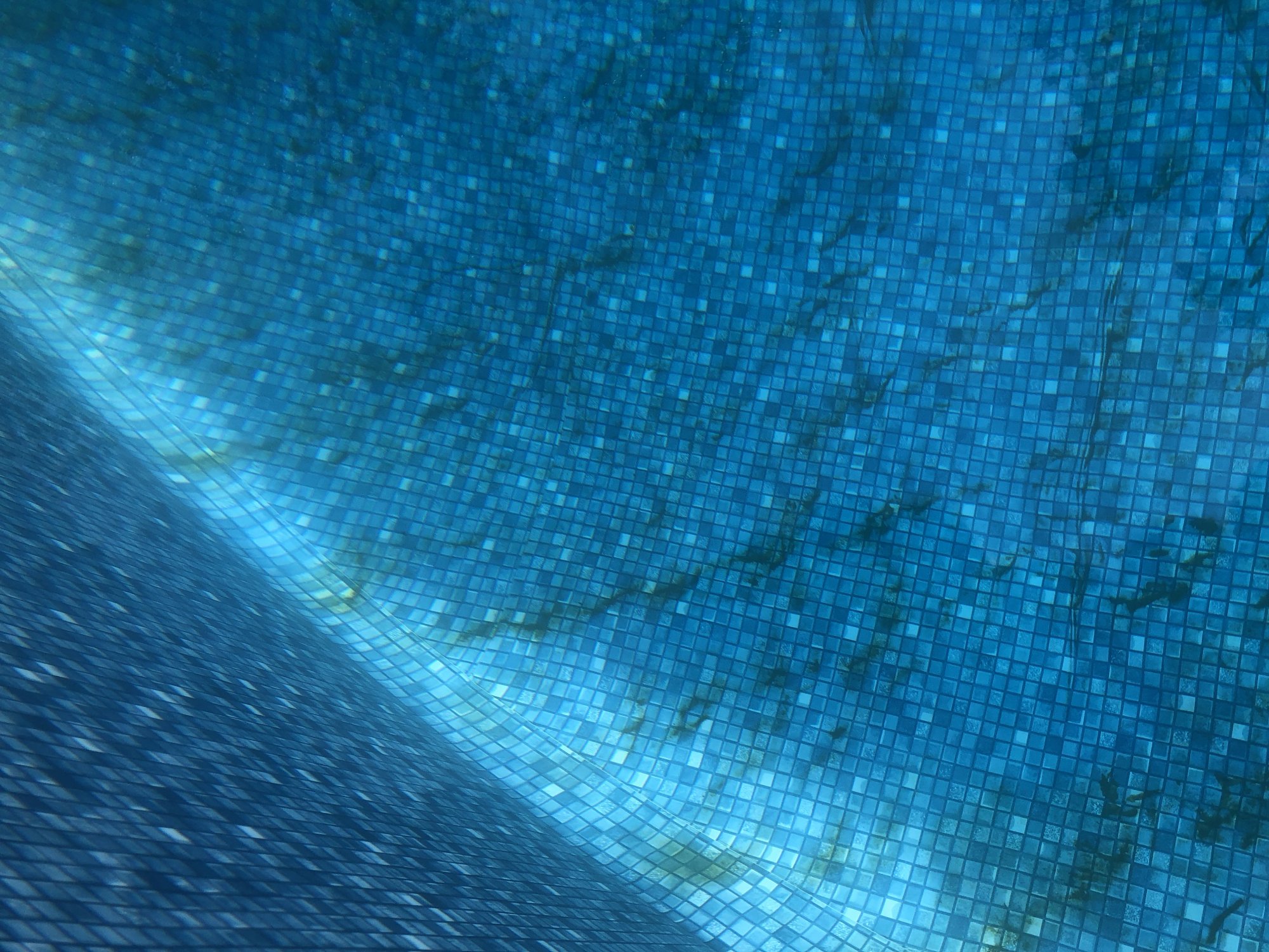 pool.jpeg