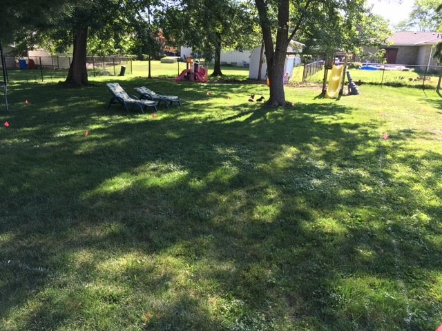 Pool Layout with Trees.jpg