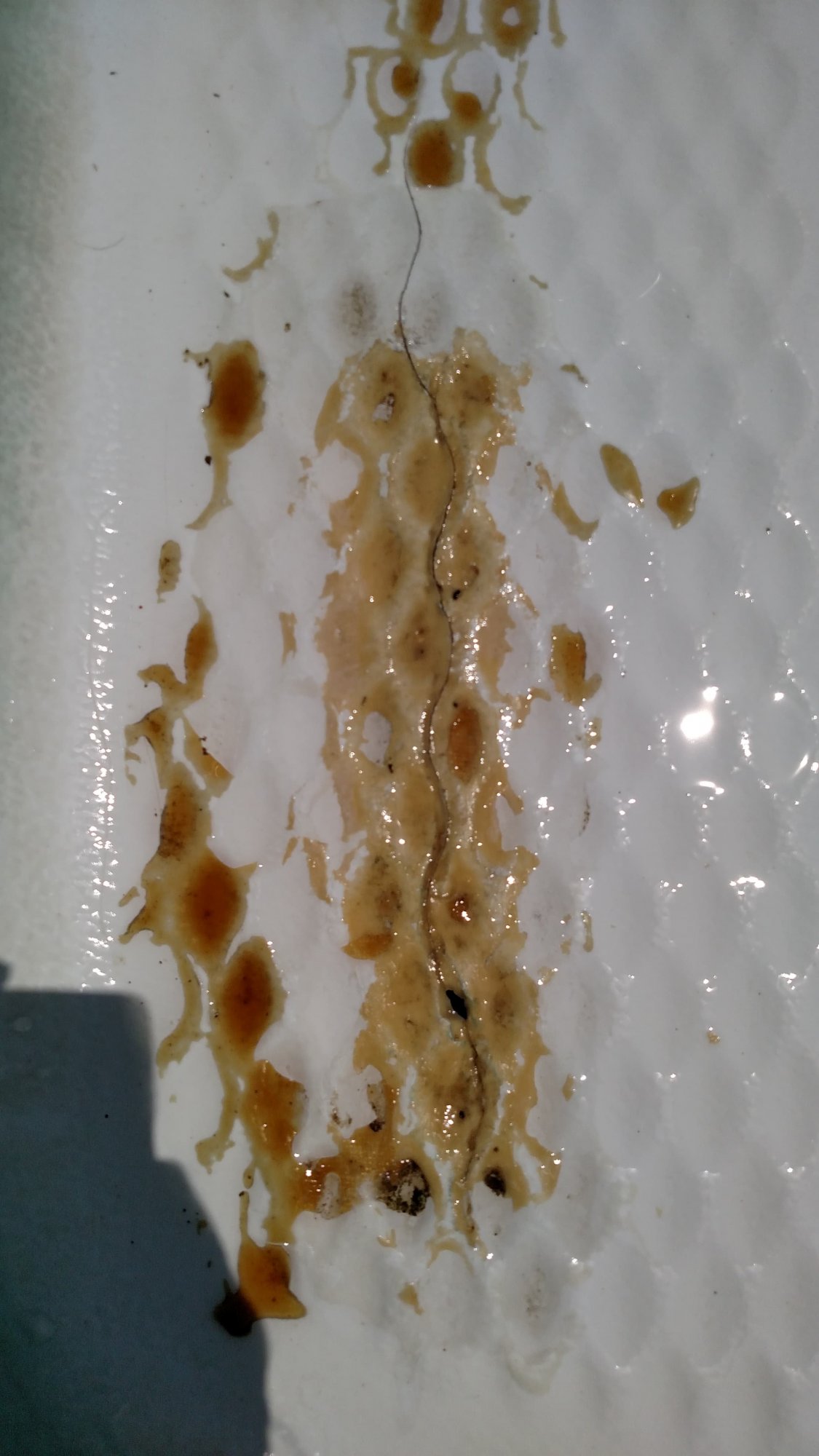 pool step 4.jpeg