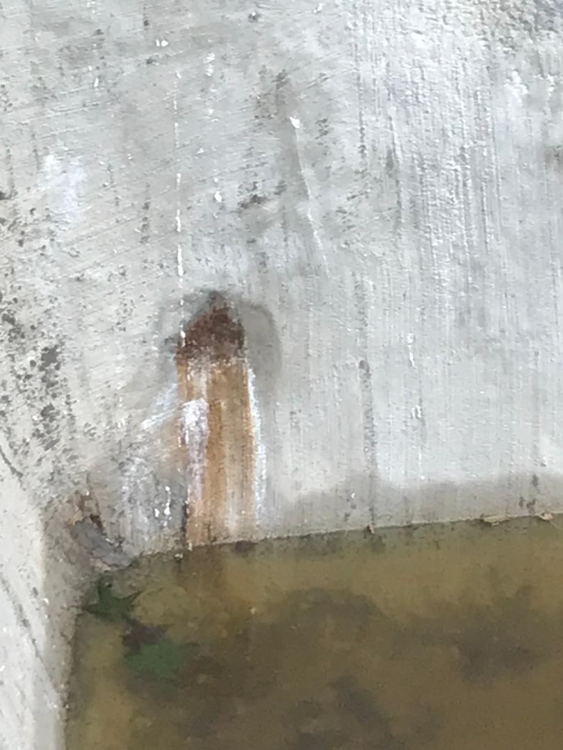 pool1.jpeg
