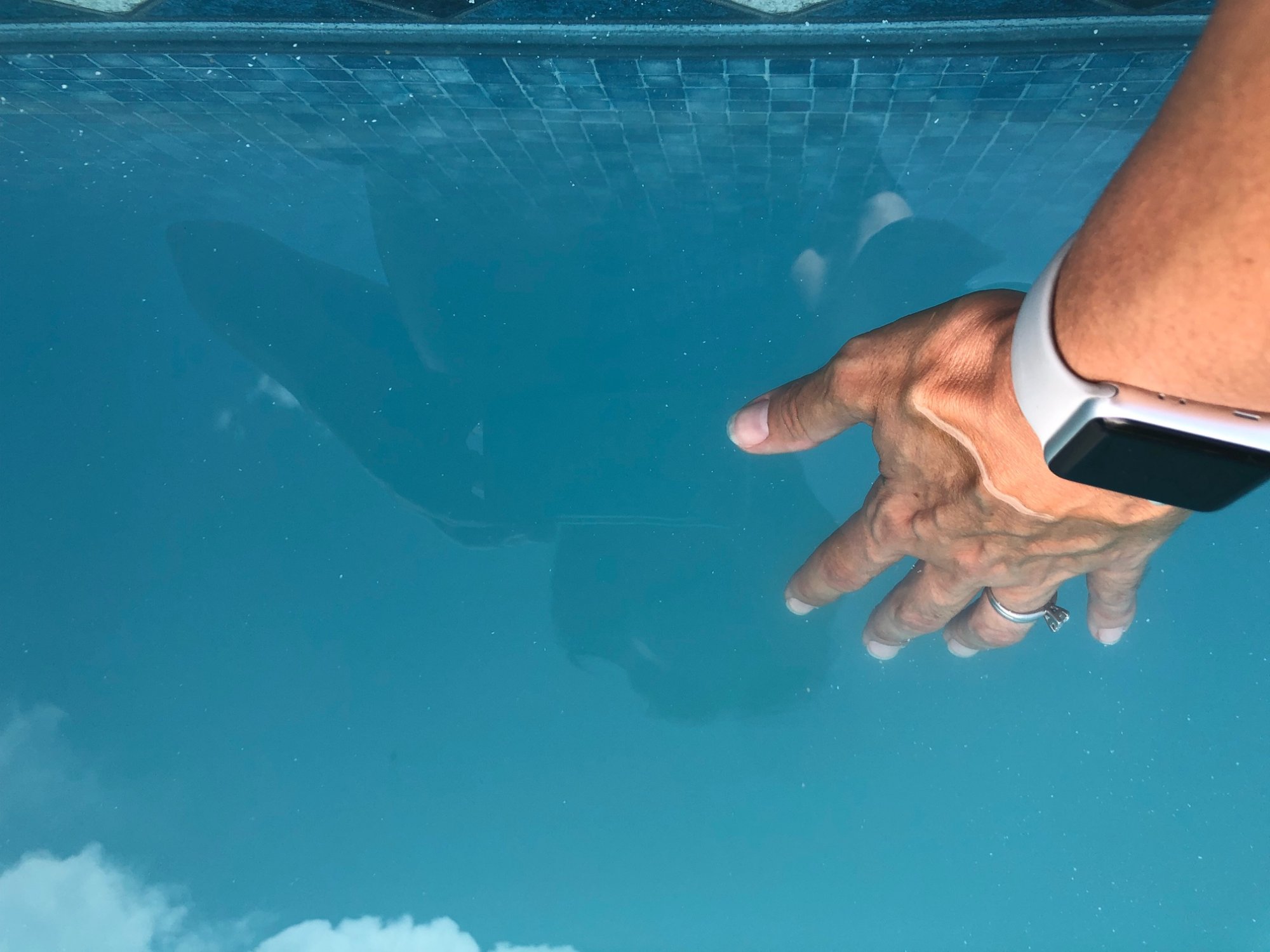 pool2.jpeg