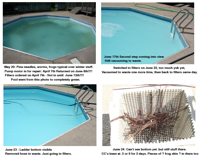 pool_opening2012.jpg