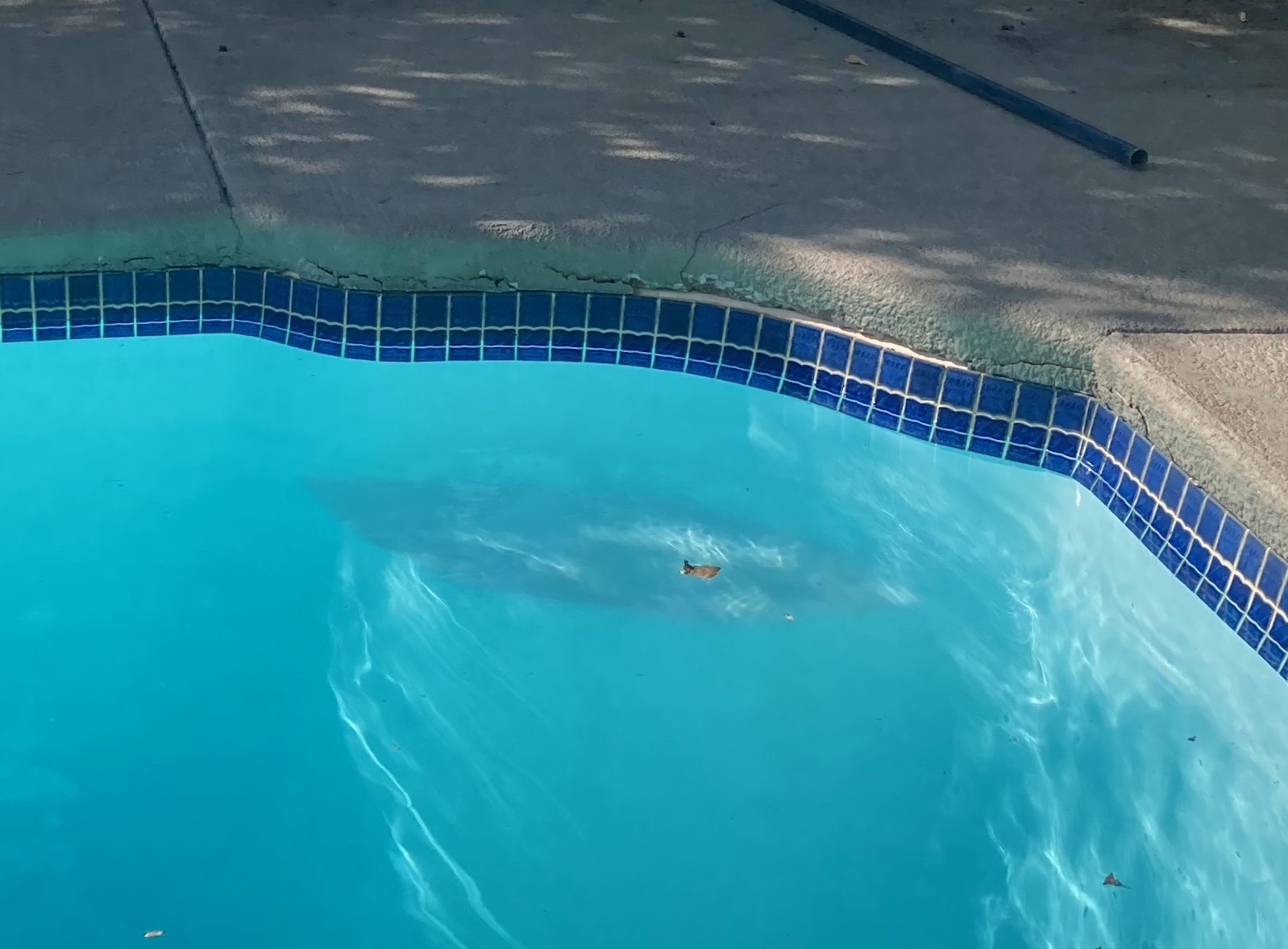 pooldamage2.jpeg