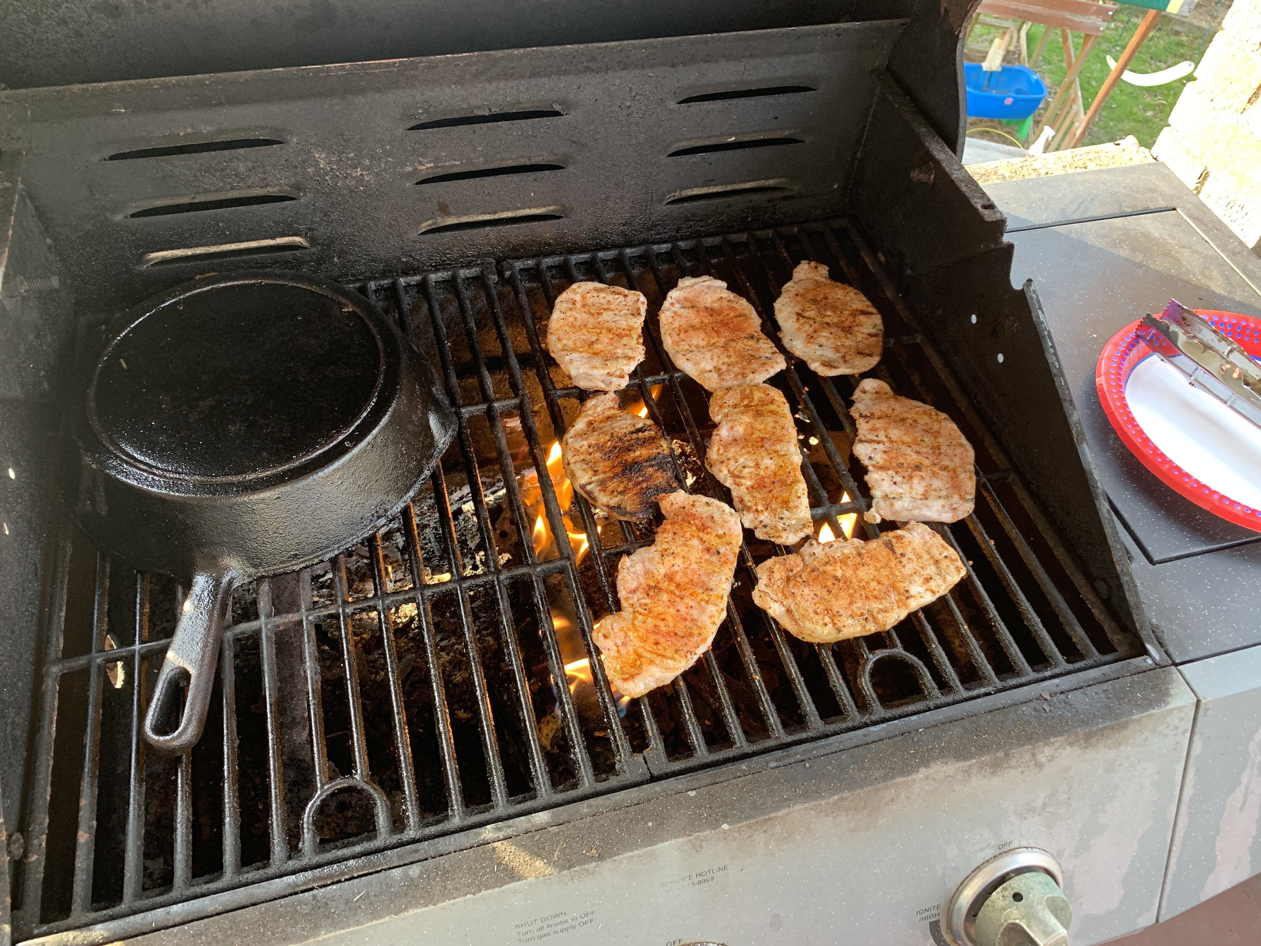Porkchops