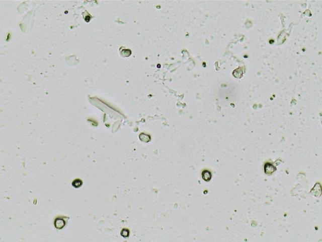 post pic 2.jpg