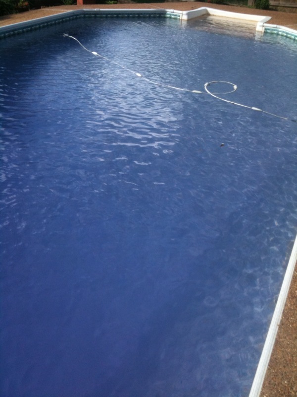 purplepool2.jpg