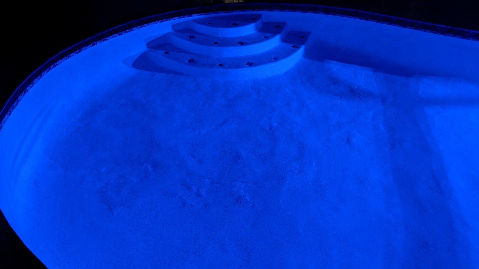 PXL_20210813_005447723.jpg