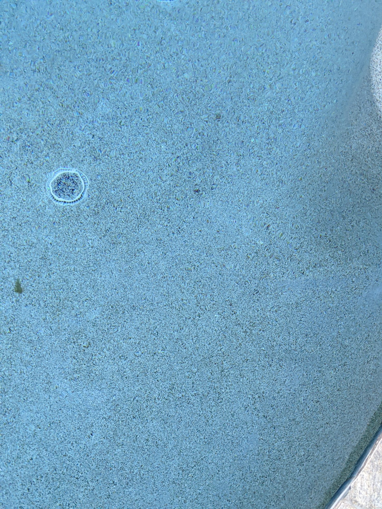 PXL_20220624_021737069.jpg