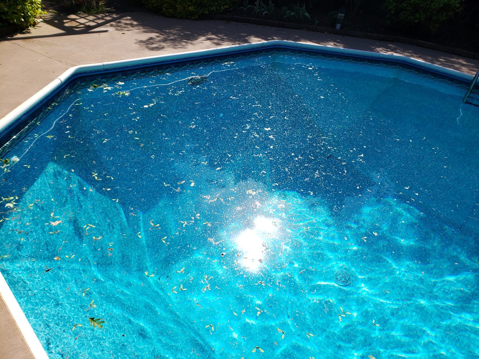 resize pool.jpg