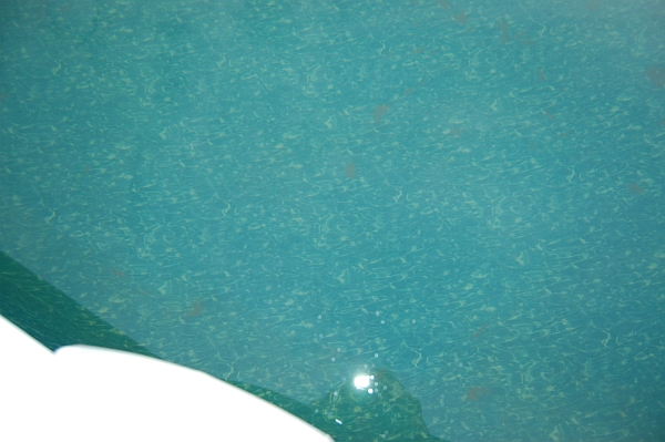 resize7.jpg