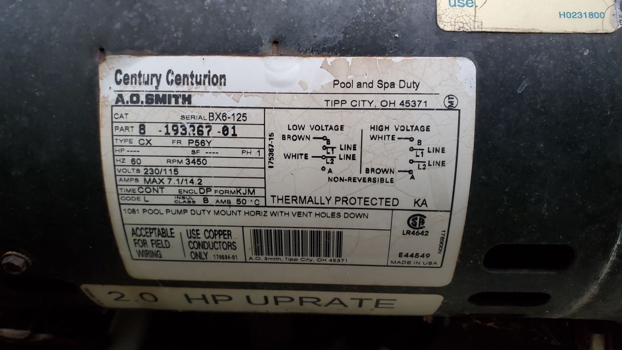 Resized_20240518_200431.jpeg