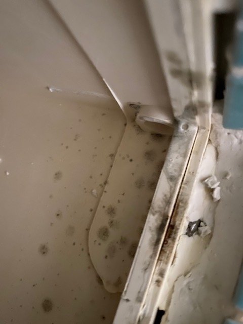 right side.jpg