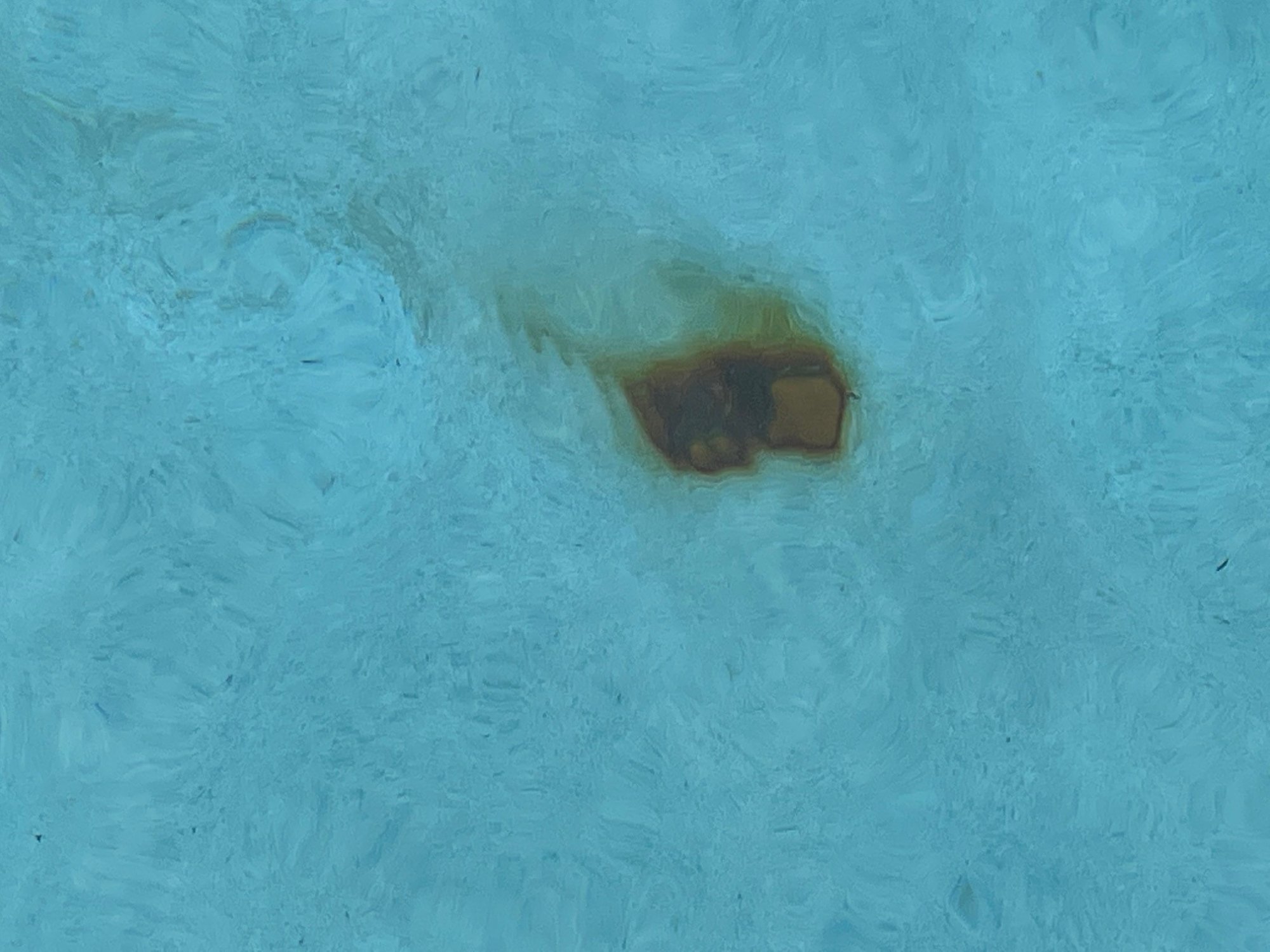 rust spot.jpg