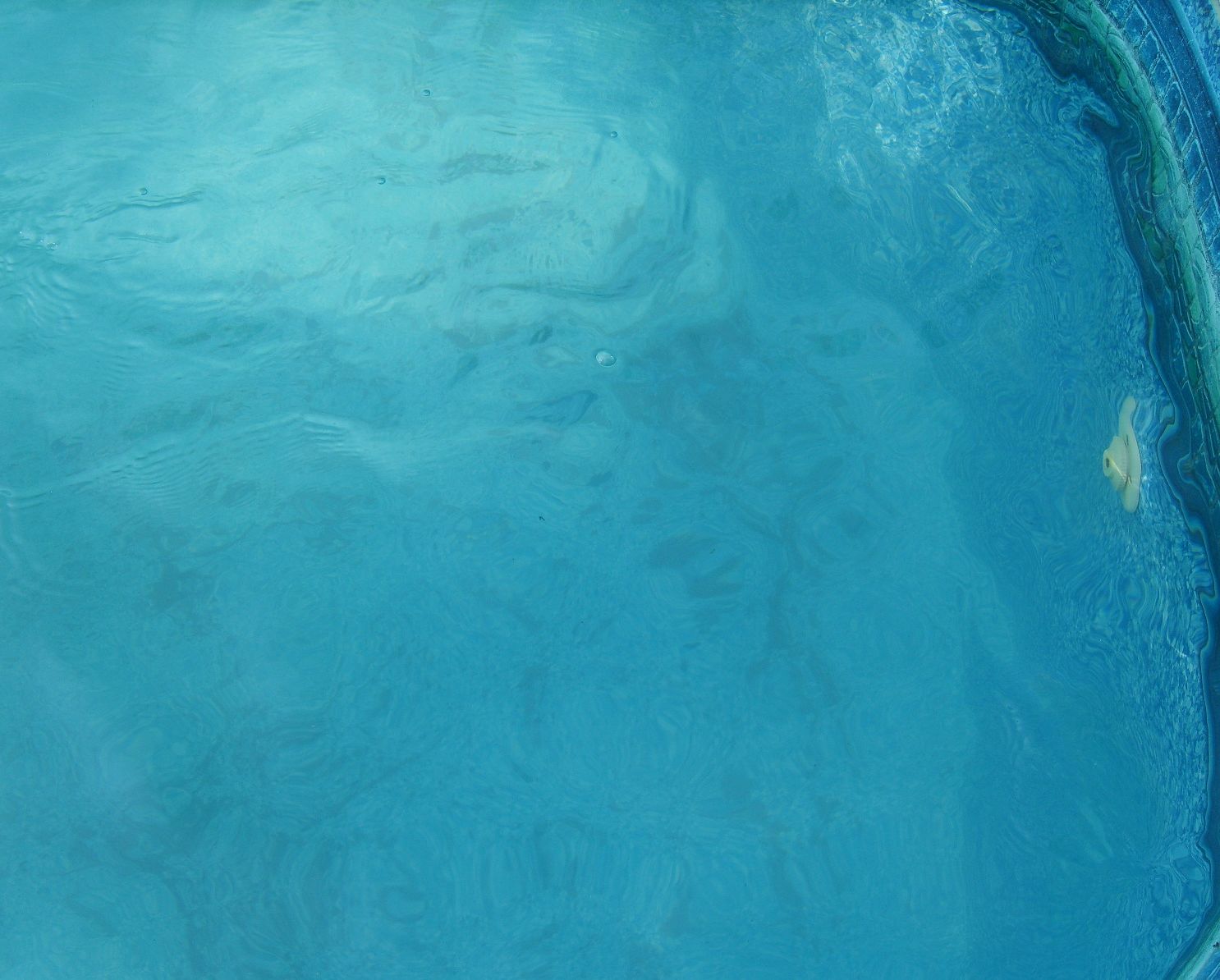 S8301617.jpg