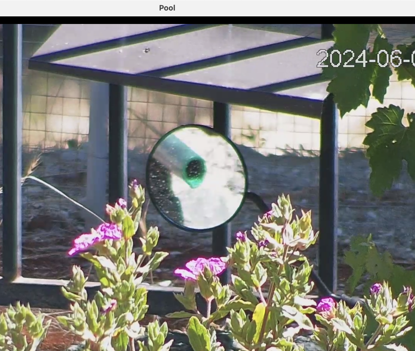Screen Shot 2024-06-02 at 10.55.31 AM.png