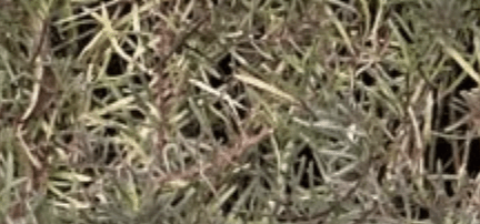 Screen Shot 2024-08-17 at 11.14.22 PM.png