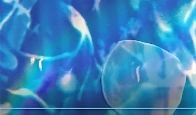 Screenshot (213).png