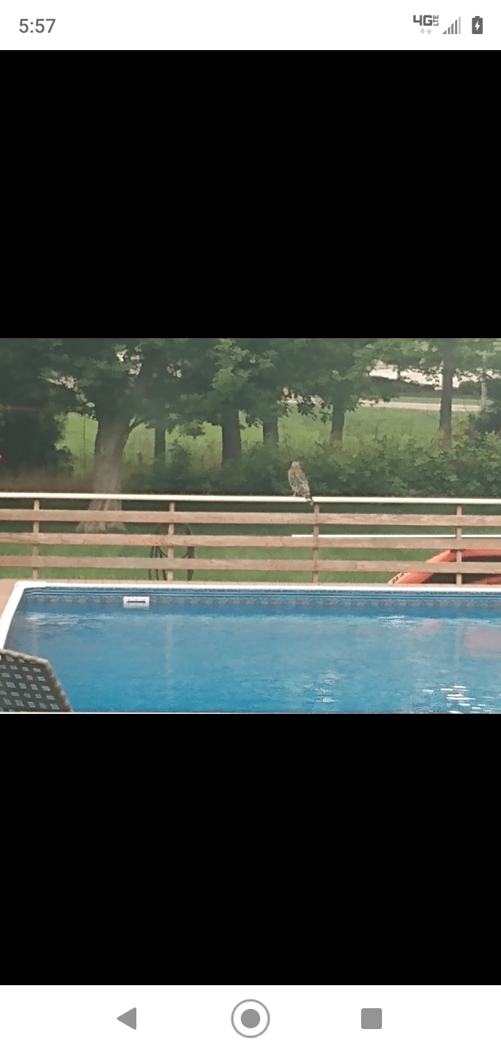 Screenshot_20240611-175747.png