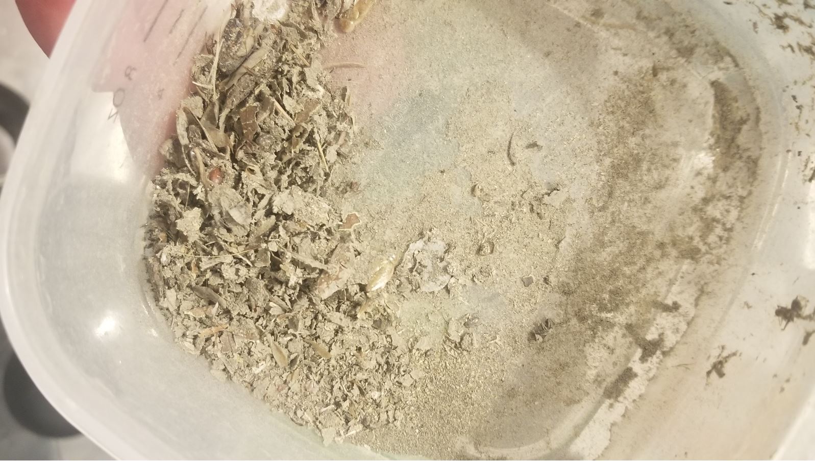 sediment dry.JPG