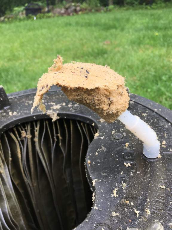 sediment from filter.jpg