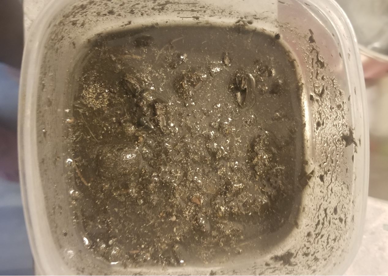 sediment wet.JPG