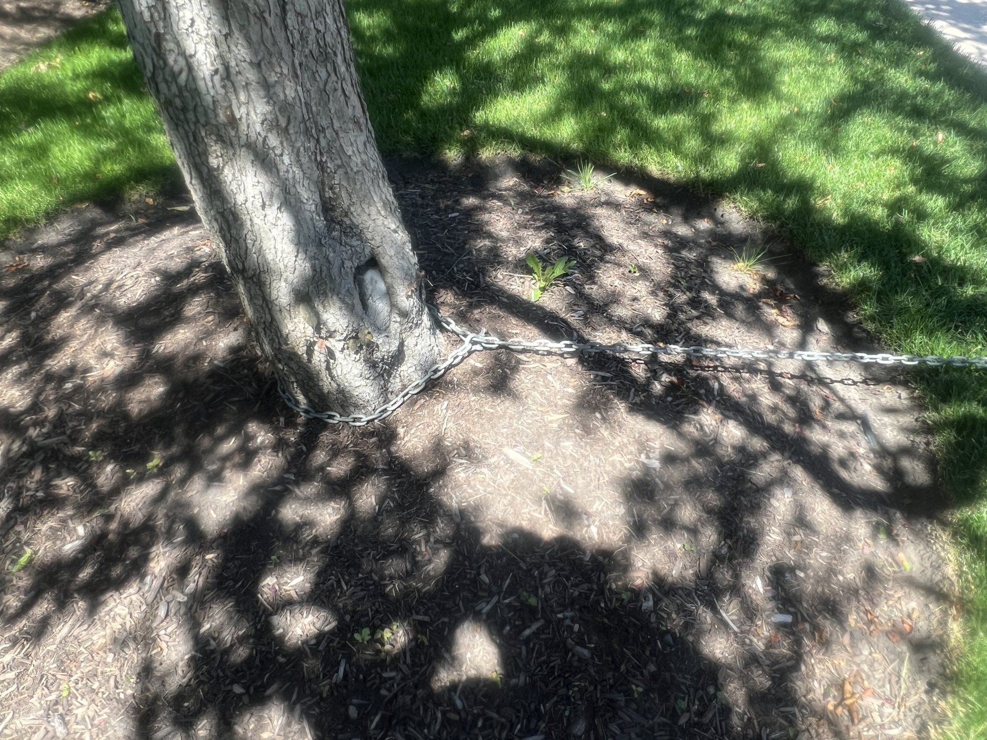 Shallow end anchor point pic 2.jpg