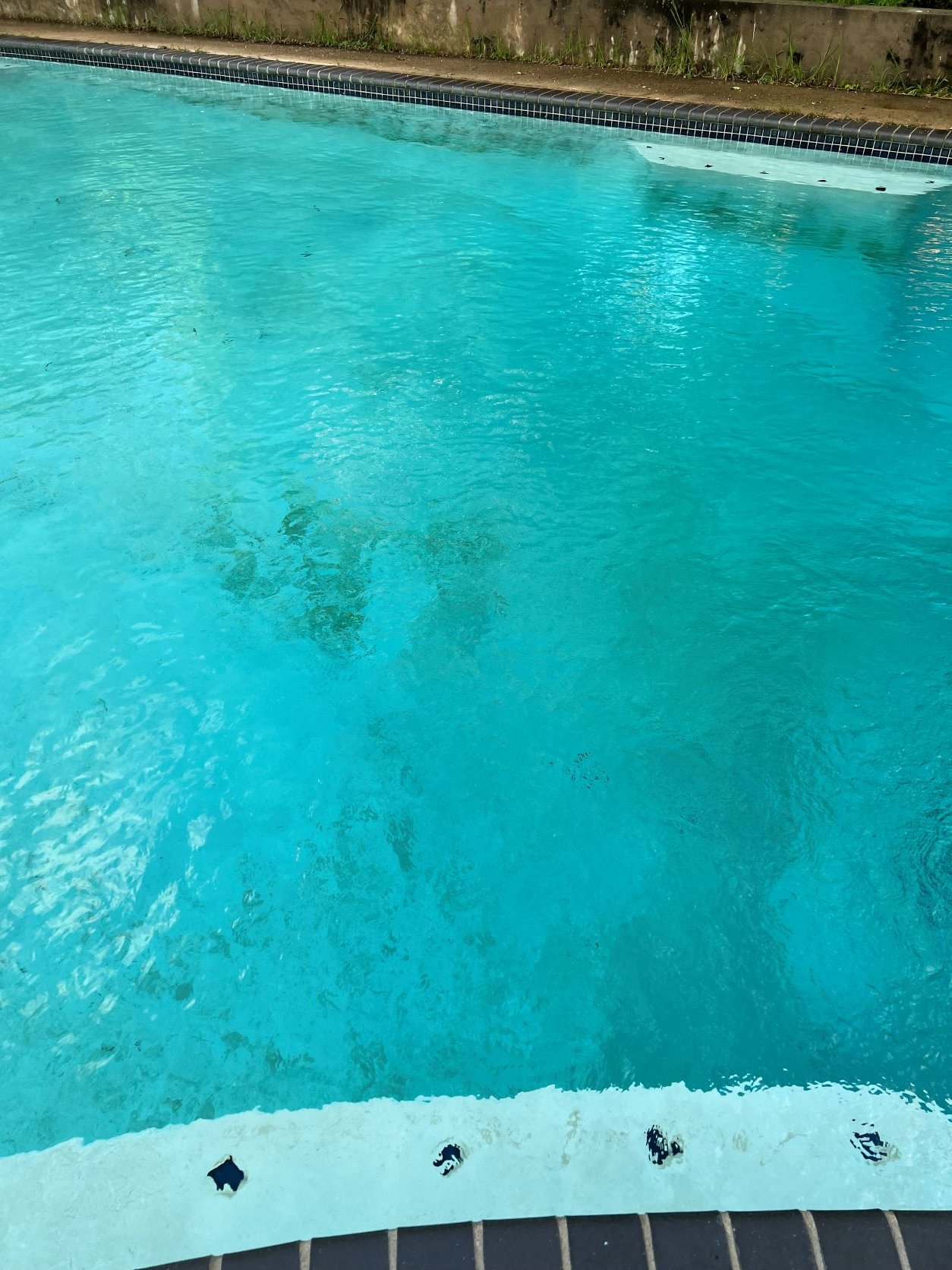 sides of pool.JPG