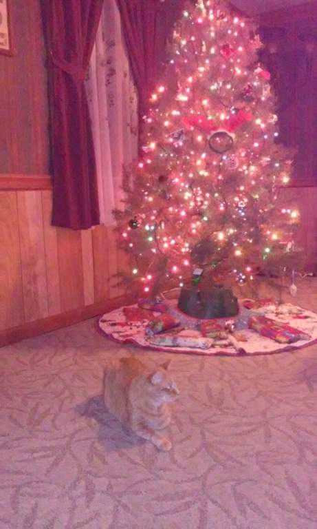 Simba christmas tree.jpg