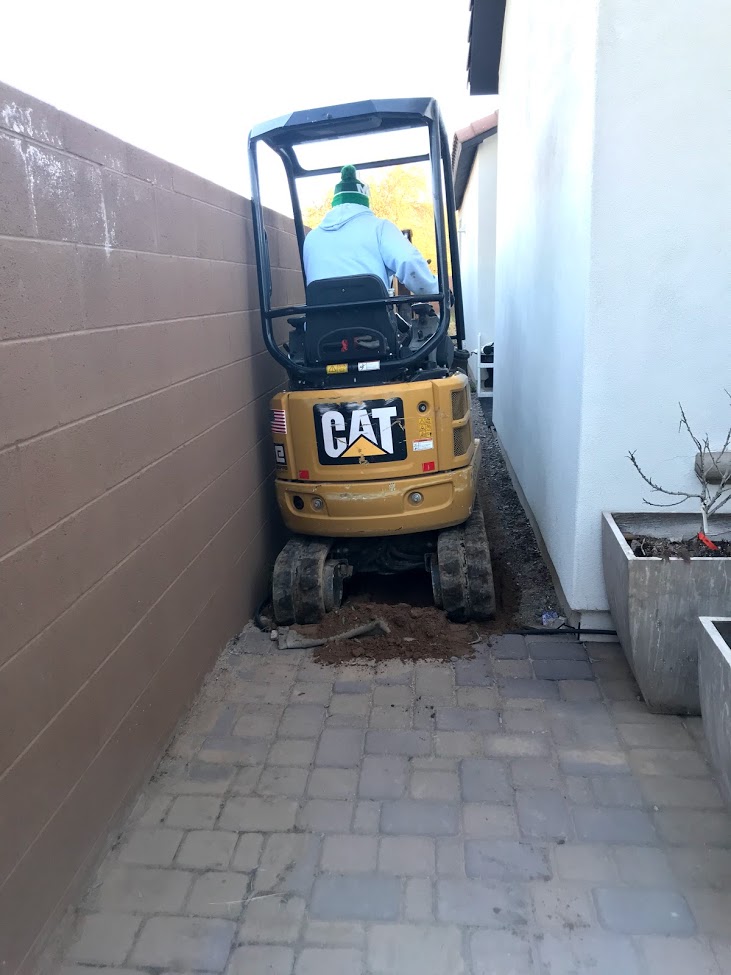 small-bobcat.jpg