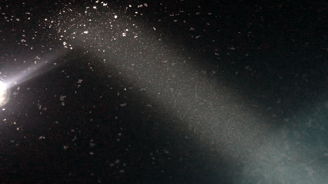 Small particulates in the water