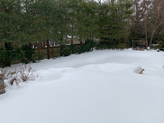Snow Covered Pool in NJ.jpg