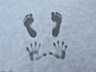 Snow Imprint a.jpg
