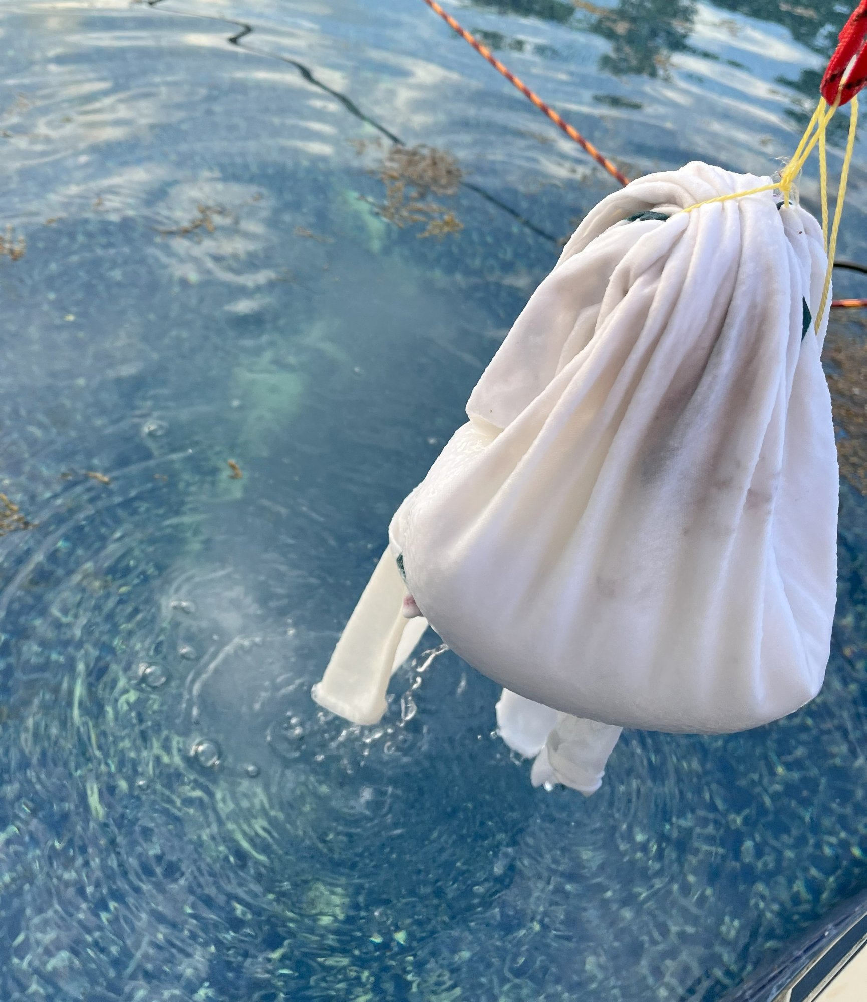 Stabilizer sack.jpg