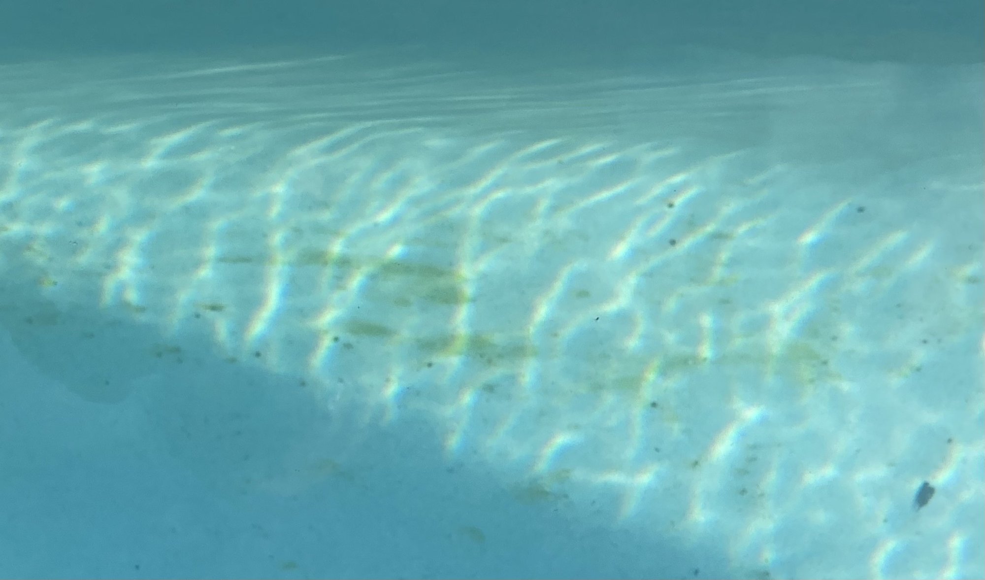 Stains in Pool.jpeg