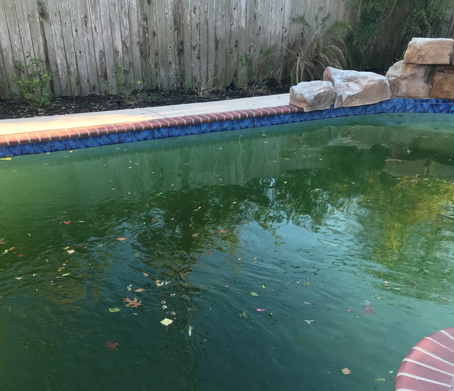 start working on pool.JPG