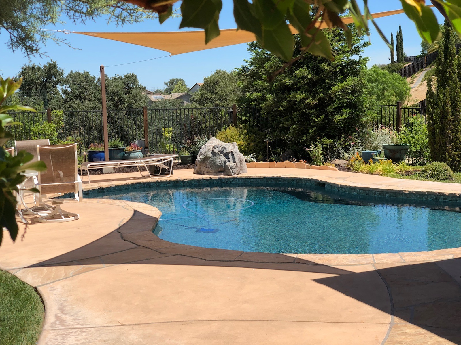 summer pool.jpg