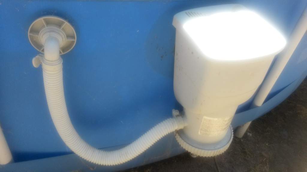 Summer waves filter pump and return.jpg