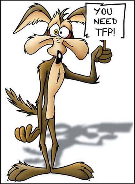TFP Help - Wylie Coyote.jpg