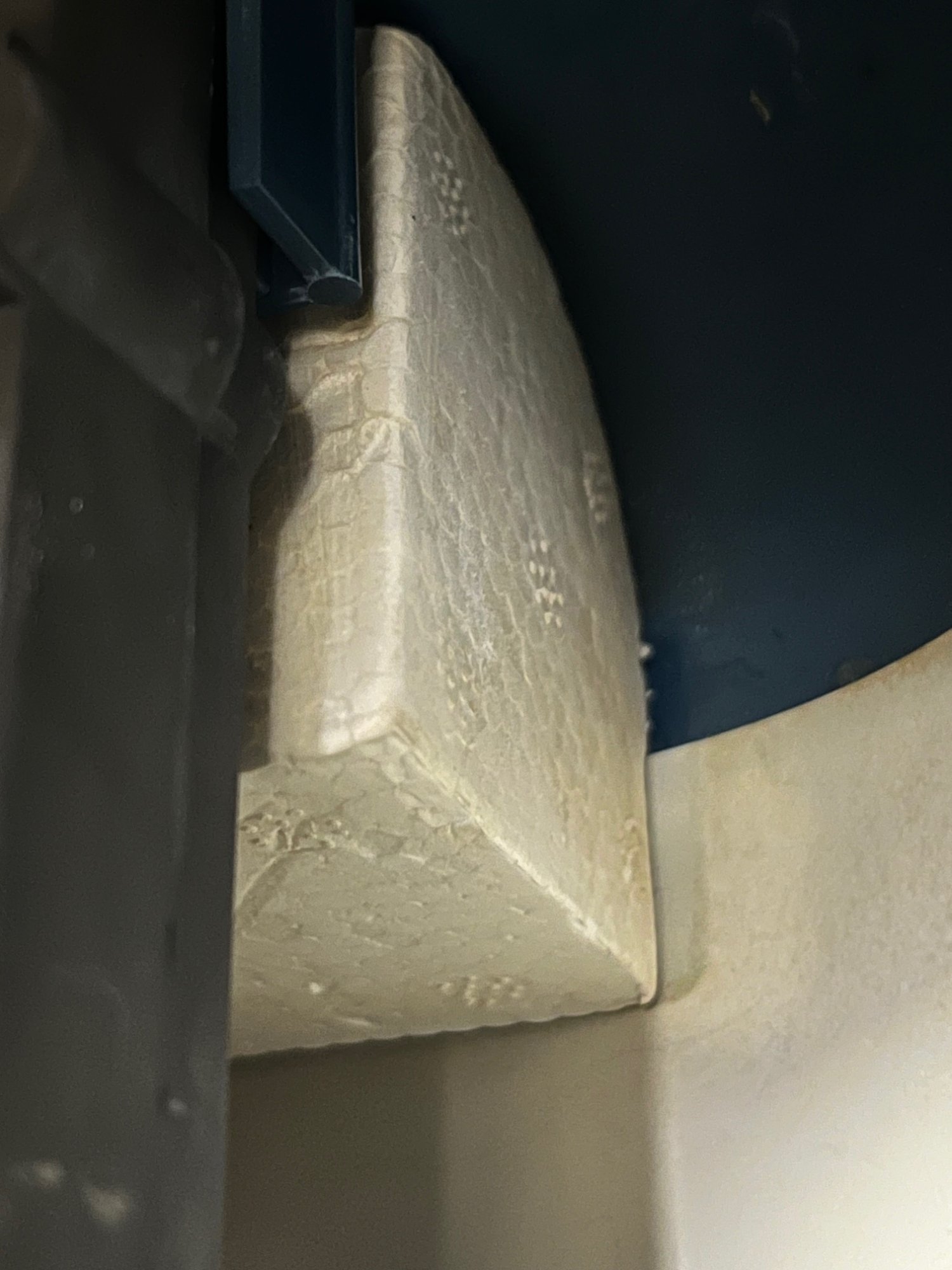 tigershark2foam.jpg