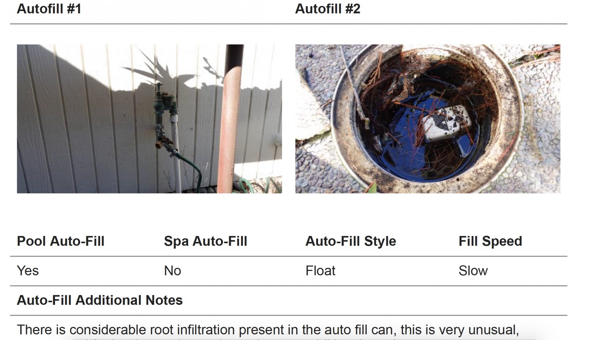 tree_roots_autofillpool.jpg