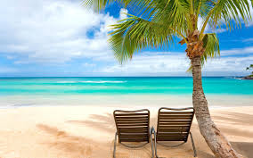 tropical scene.jpeg