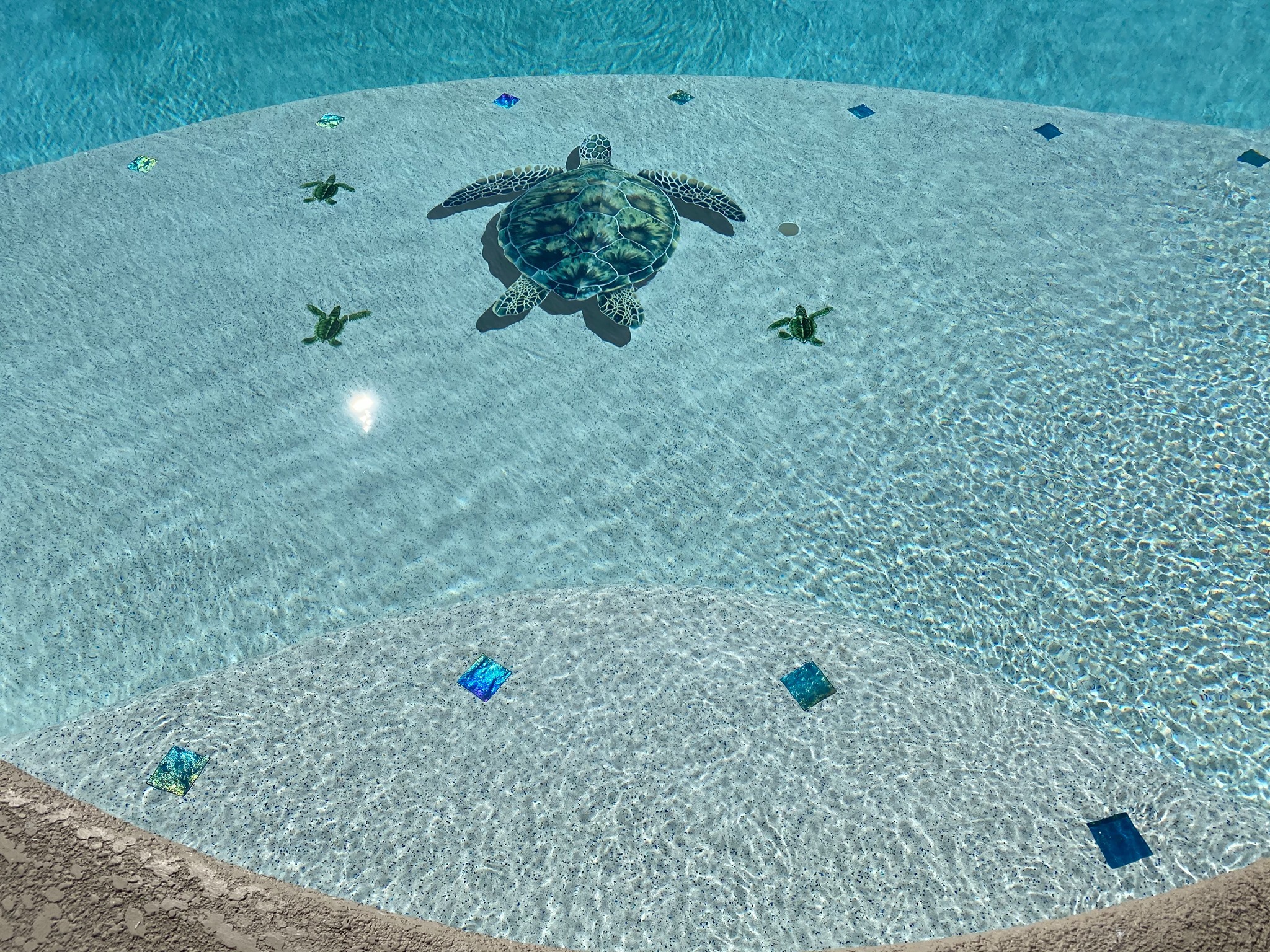turtle emblem.jpg