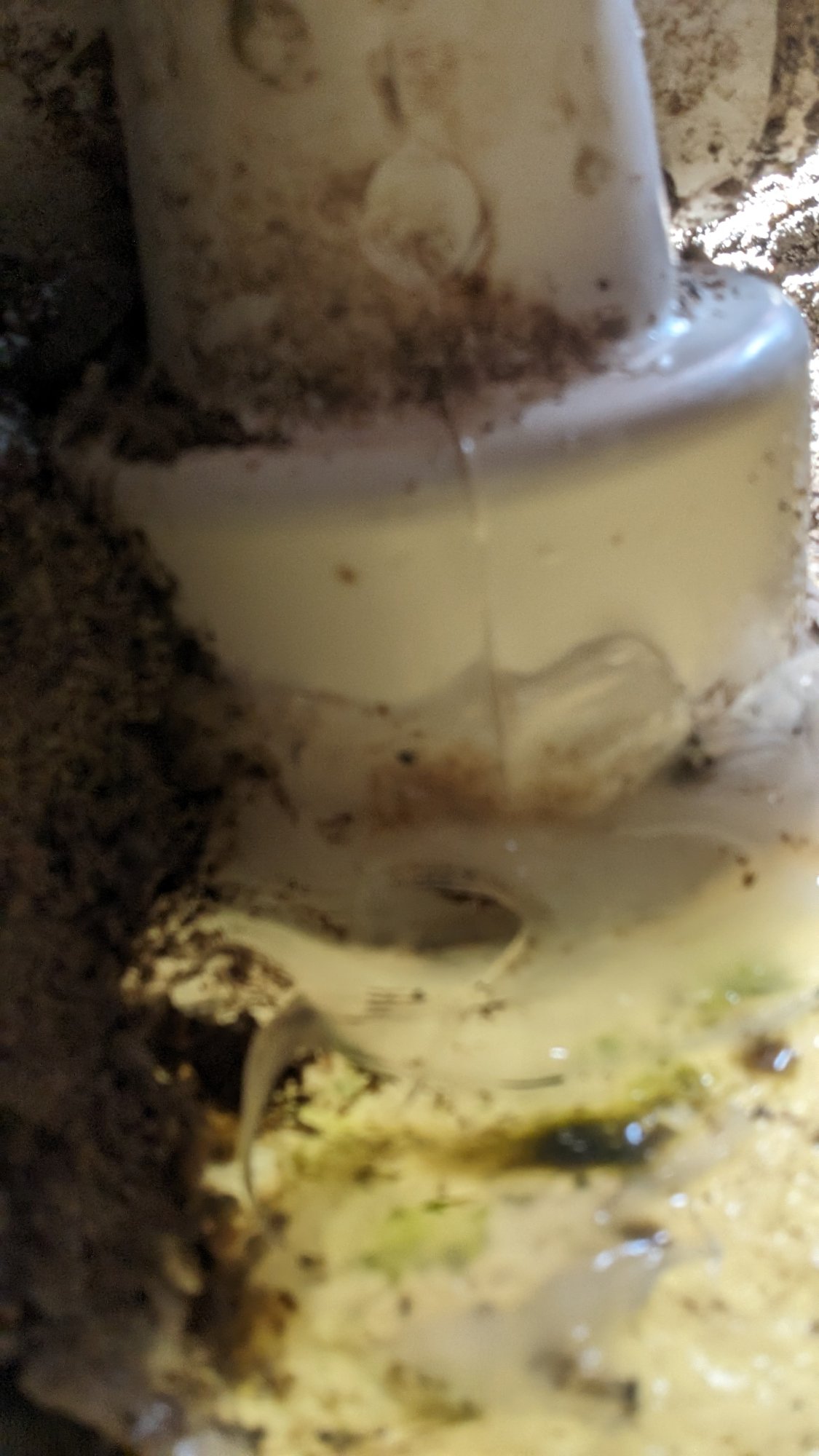 Underneath Jet Connection Leak.jpg